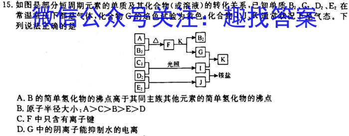 2023届安徽省淮北市高三年级第一次模拟考试化学