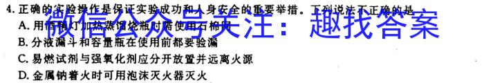 江淮名卷·2023年省城名校中考调研（一）化学