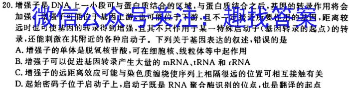 炎德英才大联考2023届雅礼中学高三月考（七）生物试卷答案