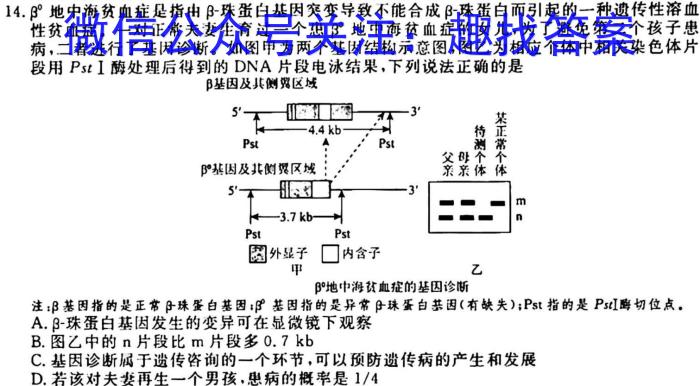 安徽省2023届九年级第一学期期末学业发展水平检测生物