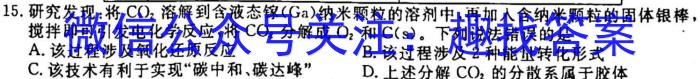 2023年河南省普通高中毕业班高考适应性练习化学