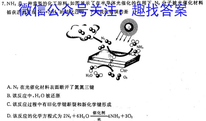 河南省2024-2023学年八年级下学期阶段性评价卷化学
