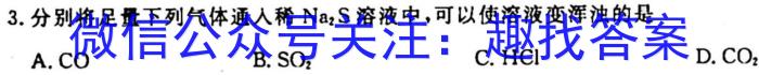 中考必刷卷·安徽省2023年安徽中考第一轮复习卷(九)9化学
