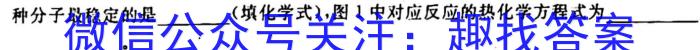 衡水金卷2023届高三3月大联考(新教材)化学