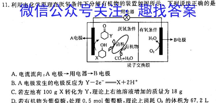 [泰安一模]山东省泰安市2022-2023学年高三一轮检测化学