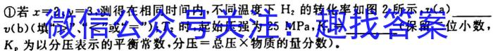 2023年陕西省初中学业水平考试·全真模拟卷（一）B版化学