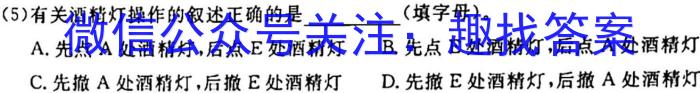 [阳光启学]2023届全国统一考试标准模拟信息卷(十)10化学