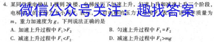 山西省2023届九年级考前适应性评估（二）【7LR】物理`