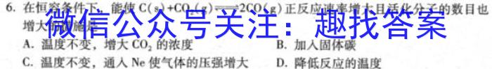 2023年陕西省铜川市中考模拟预测卷化学