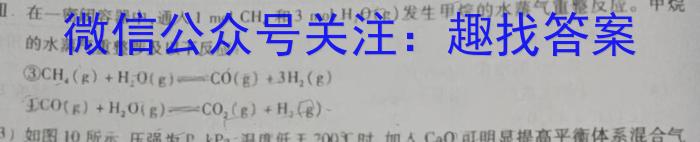 天一大联考·河南省2023届九年级学业水平诊断（一）化学