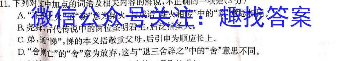 2023年云南大联考4月高二期中考试（23-412B）政治1