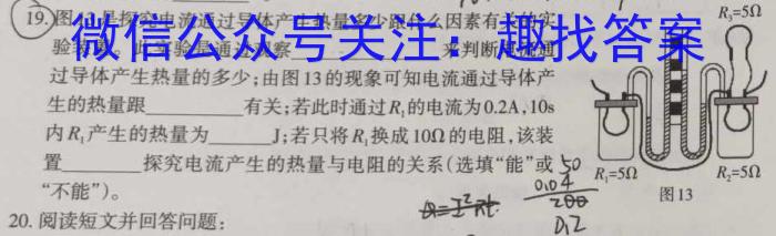 2024-2023学年安徽省九年级下学期阶段性质量监测q物理