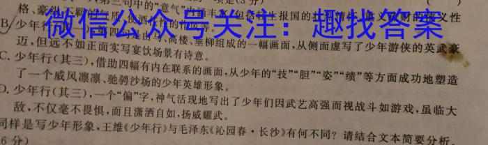 安徽省中考必刷卷·2023年名校内部卷（五）政治1