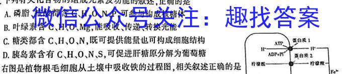 天一大联考2024-2023学年高中毕业班阶段性测试（五）生物