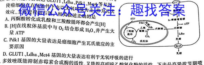 河南省2023届高三青桐鸣大联考（2月）生物试卷答案