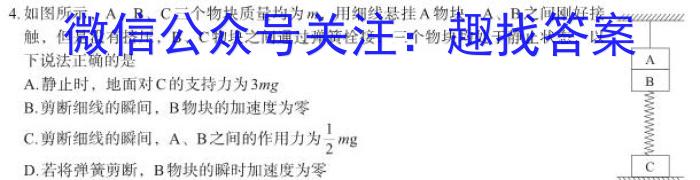 江西省2023届九年级考前适应性评估（一）（6LR）.物理