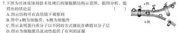 2023届衡水金卷先享题信息卷 全国卷(四)4生物