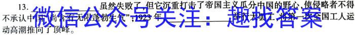 安师联盟 2023年中考权威预测模拟试卷(五)(六)历史