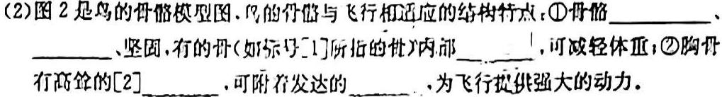 2023年普通高等学校招生全国统一考试名校联盟·模拟信息卷(七)7生物