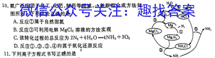 天一大联考·河南省2025届高一年级3月联考化学