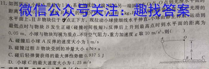江淮教育联盟2023年春季九年级第一次联考物理.