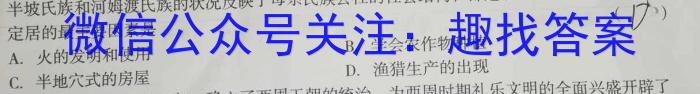 炎德英才大联考2023届雅礼中学高三月考（七）历史