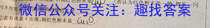 安徽省2024届八年级下学期第一次教学质量检测化学