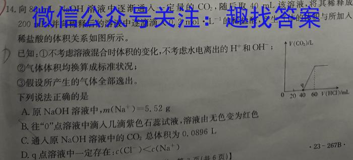 皖智教育安徽第一卷·2023年安徽中考第一轮复习试卷(十)化学