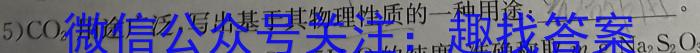 山西省2023届九年级考前适应性评估（二）【7LR】化学