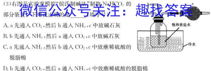 安徽省九年级2024-2023学年新课标闯关卷（十八）AH化学