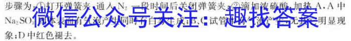 2023届名校之约·中考导向总复习模拟样卷(四)4化学