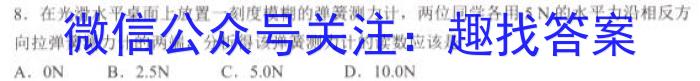 2023年普通高等学校招生全国统一考试金卷仿真密卷(十二)12 23新高考·JJ·FZMJ.物理