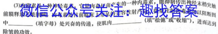 2023年普通高等学校招生全国统一考试名校联盟·模拟信息卷(六)6生物