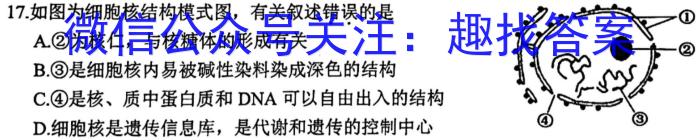 安徽省九年级2022-2023学年新课标闯关卷（十二）AH生物