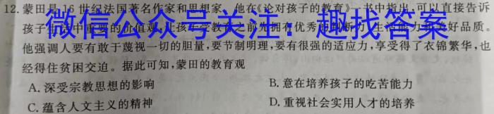 安徽省九年级2022-2023学年新课标闯关卷（十三）AH历史