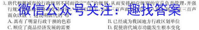 2023届河北大联考高三年级3月联考历史