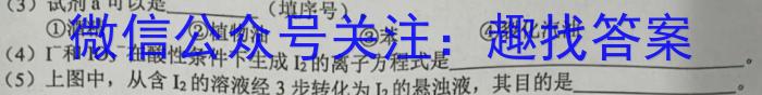 安徽第一卷·2024-2023学年安徽省七年级教学质量检测（五）化学