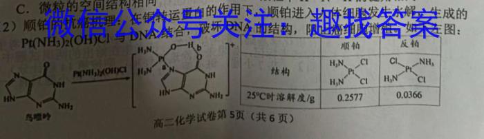 2023年新高考模拟冲刺卷(六)6化学
