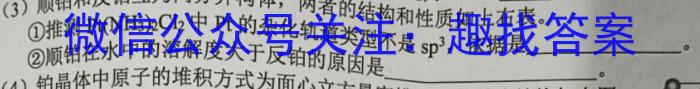 河北省2023年石家庄初三十八县联考化学