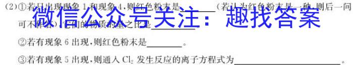 天一大联考·河南省2025届高一年级3月联考化学