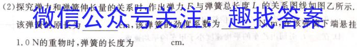 安徽第一卷·2023年九年级中考第一轮复习（十一）l物理