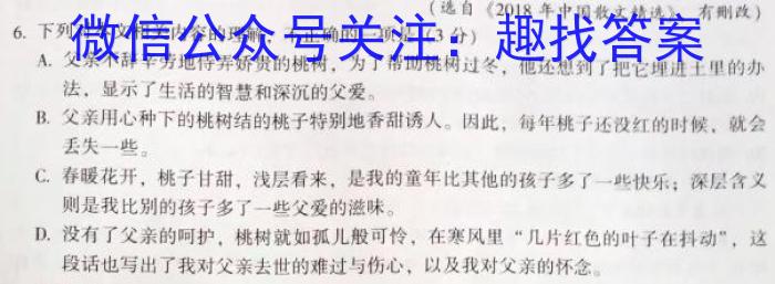 2022-023学年安徽省九年级下学期阶段性质量检测（六）政治1