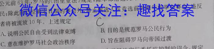 叙州区一中2024-2023学年高一下学期月考历史