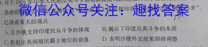 江淮名卷·2023年中考模拟信息卷(二)2历史