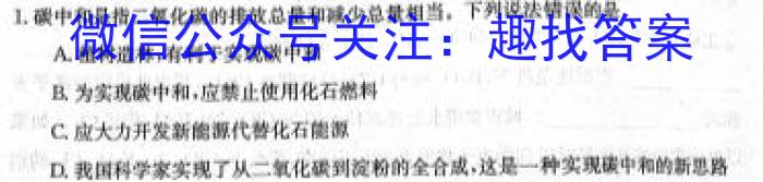 衡中同卷 2024-2023学年度下学期高三年级一调考试(新高考/新教材)化学