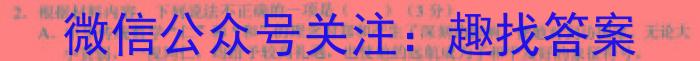 陕西省2023届九年级模拟检测卷(23-CZ135c)政治1