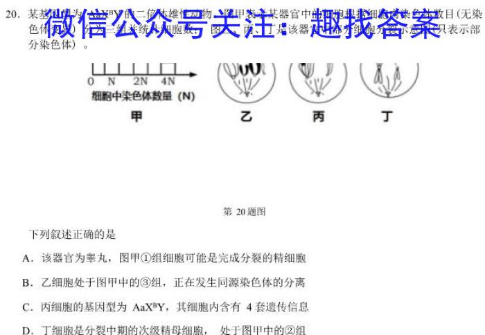 2023年河南省中招考试模拟试卷（二）生物