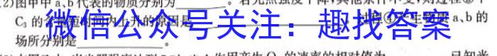 2023届安徽省淮北市高三年级第一次模拟考试生物