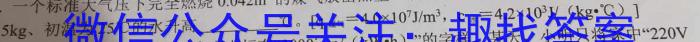 天一大联考·齐鲁名校联盟2022-2023学年高三年级联考l物理