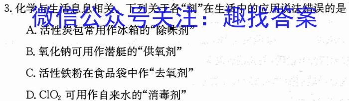 皖智教育安徽第一卷·2023年安徽中考第一轮复习试卷(十)化学